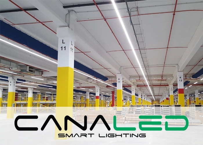 CANALED, S.L. incorporará todos los activos de la empresa a la estructura de NOVOLUX